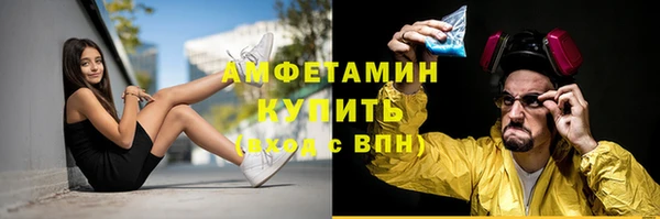 ECSTASY Горняк