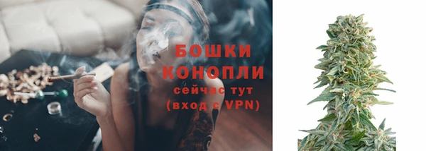 дурь Горно-Алтайск