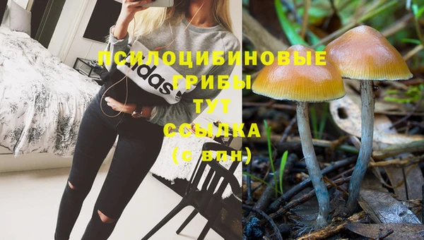 ECSTASY Горняк
