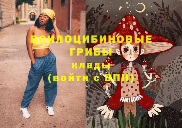 ECSTASY Горняк
