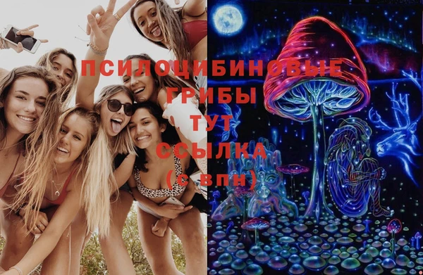 таблы Горнозаводск