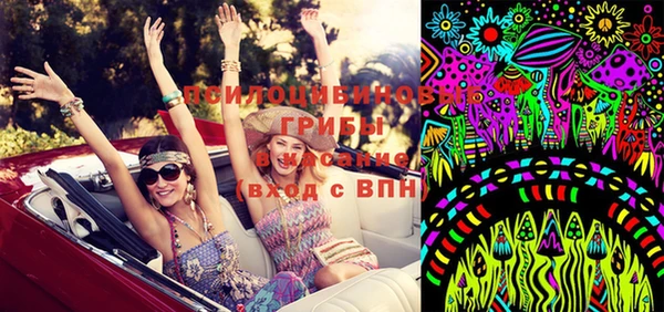 ECSTASY Горняк