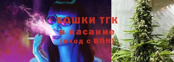 ECSTASY Горняк