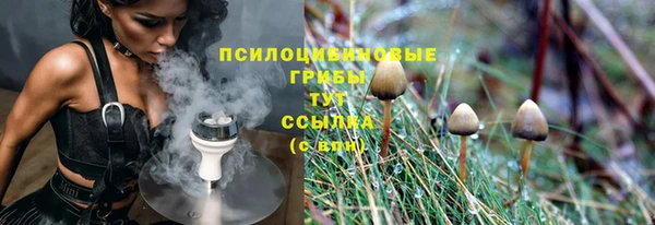 таблы Горнозаводск