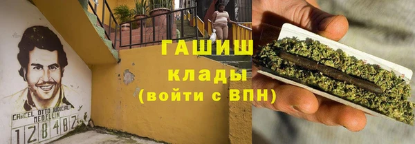 ECSTASY Горняк