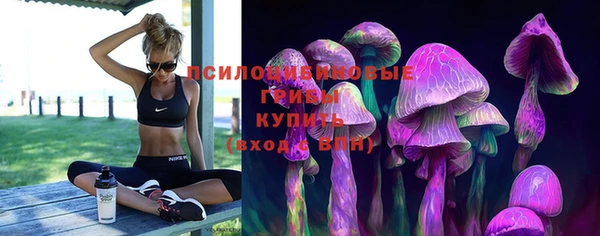 таблы Горнозаводск