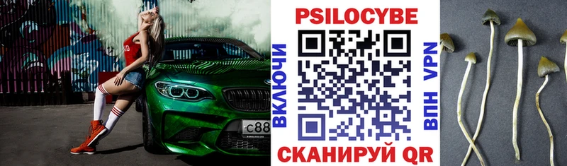 Галлюциногенные грибы MAGIC MUSHROOMS  Петрозаводск 